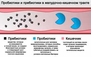 Пробиотики и пребиотики для лечения запоров у взрослых