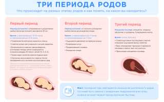 Потуги – второй период родов