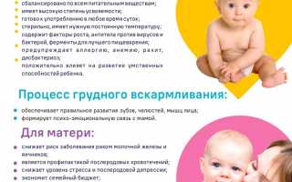 Грудное вскармливание: до какого возраста кормить