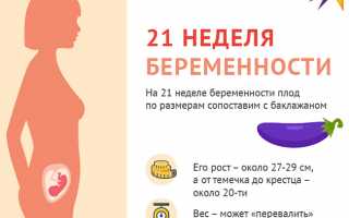 21 неделя беременности.