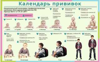 Интервал между прививками при нарушенных сроках