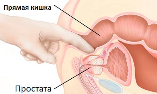 важно помнить, что аккуратные и действенные манипуляции, не вызывающие болезненных ощущений, может произвести только профессиональный массажист