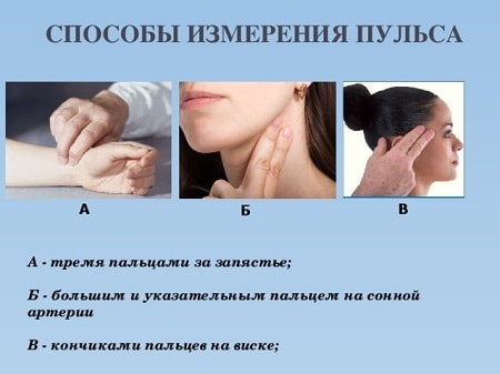 Пульс беременной женщины, каким он должен быть